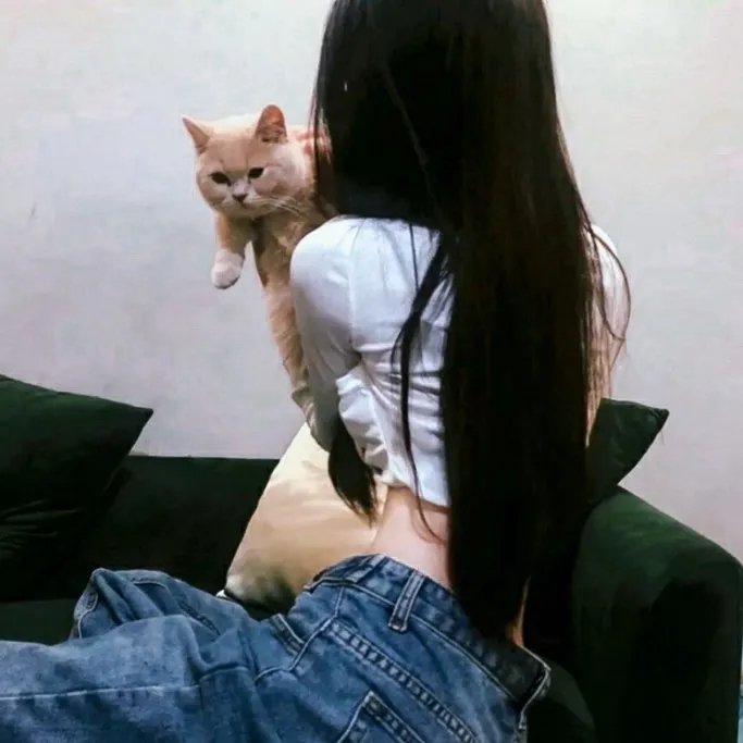 小迷糊闯七关